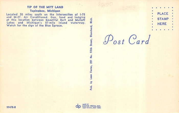 Tip of the Mitt Land - Vintage Postcard